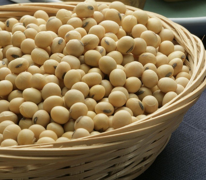 Soyabeans